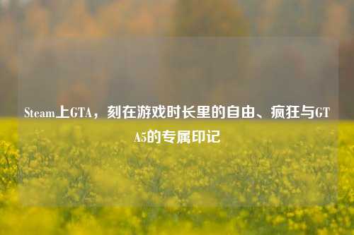 Steam上GTA,刻在游戏时长里的自由、疯狂与GTA5的专属印记