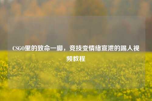 CSGO里的致命一脚，竞技变情绪宣泄的踢人视频教程