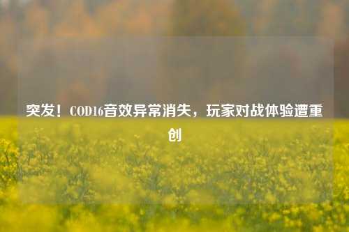 突发!COD16音效异常消失,玩家对战体验遭重创