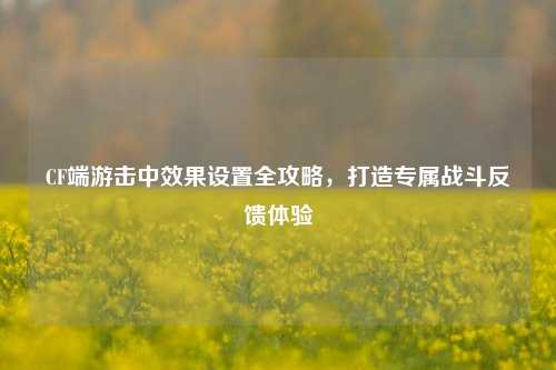 CF端游击中效果设置全攻略,打造专属战斗反馈体验