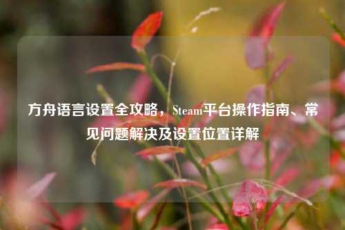 方舟语言设置全攻略,Steam平台操作指南、常见问题解决及设置位置详解