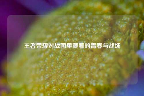 王者荣耀对战图里藏着的青春与战场