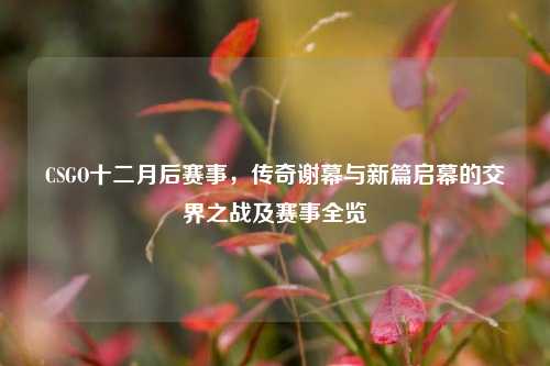 CSGO十二月后赛事,传奇谢幕与新篇启幕的交界之战及赛事全览