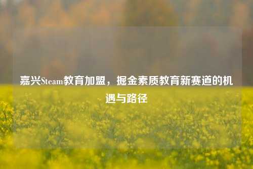 嘉兴Steam教育加盟，掘金素质教育新赛道的机遇与路径