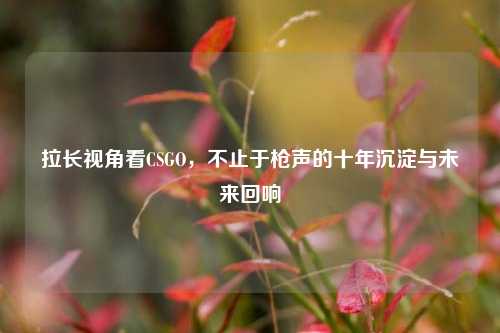 拉长视角看CSGO,不止于枪声的十年沉淀与未来回响