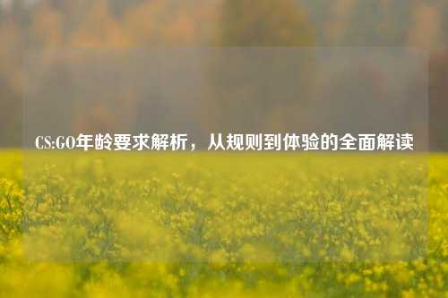 CS:GO年龄要求解析,从规则到体验的全面解读