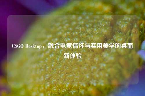 CSGO Desktop,融合电竞情怀与实用美学的桌面新体验