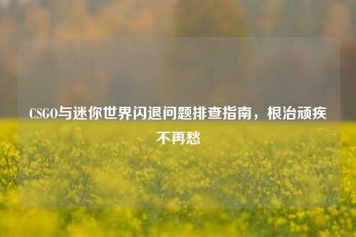 CSGO与迷你世界闪退问题排查指南,根治顽疾不再愁