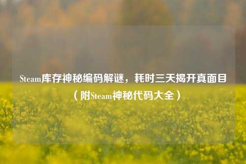 Steam库存神秘编码解谜,耗时三天揭开真面目(附Steam神秘代码大全)