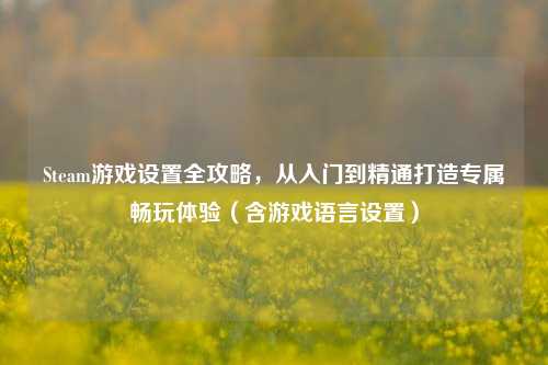 Steam游戏设置全攻略,从入门到精通打造专属畅玩体验(含游戏语言设置)