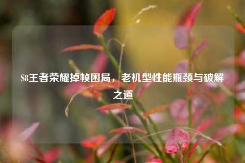 S8王者荣耀掉帧困局,老机型性能瓶颈与破解之道