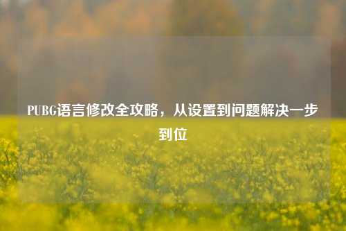 PUBG语言修改全攻略,从设置到问题解决一步到位