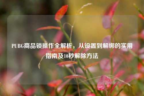 PUBG商品锁操作全解析,从设置到解绑的实用指南及10秒解除方法