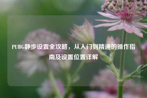 PUBG静步设置全攻略，从入门到精通的操作指南及设置位置详解