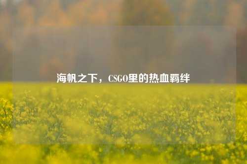 海帆之下,CSGO里的热血羁绊