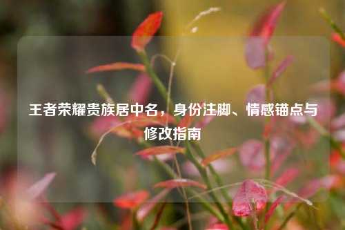 王者荣耀贵族居中名，身份注脚、情感锚点与修改指南