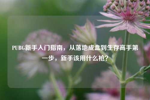 PUBG新手入门指南，从落地成盒到生存高手第一步，新手该用什么枪？