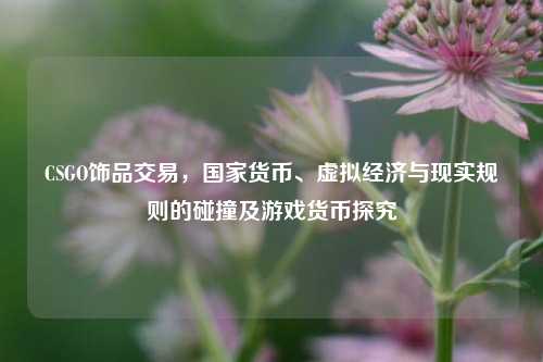 CSGO饰品交易，国家货币、虚拟经济与现实规则的碰撞及游戏货币探究