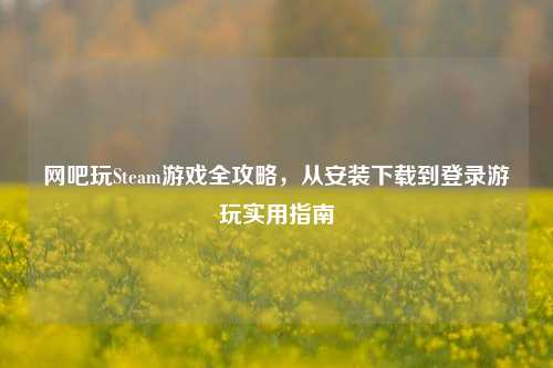 网吧玩Steam游戏全攻略,从安装下载到登录游玩实用指南