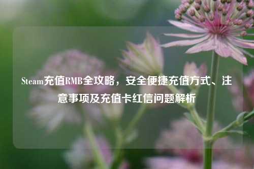 Steam充值RMB全攻略,安全便捷充值方式、注意事项及充值卡红信问题解析