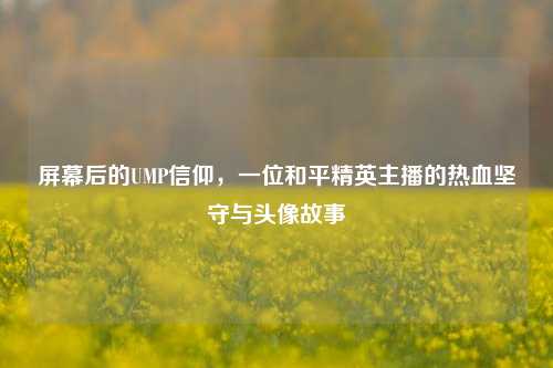 屏幕后的UMP信仰,一位和平精英主播的热血坚守与头像故事