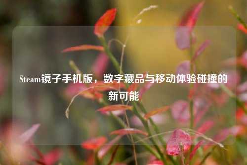 Steam镜子手机版,数字藏品与移动体验碰撞的新可能