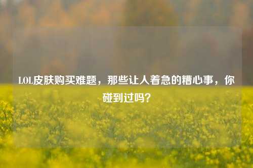 LOL皮肤购买难题，那些让人着急的糟心事，你碰到过吗？