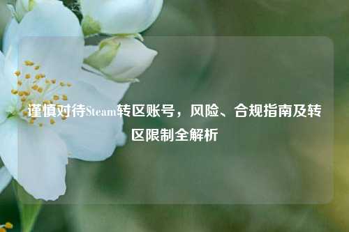 谨慎对待Steam转区账号,风险、合规指南及转区限制全解析