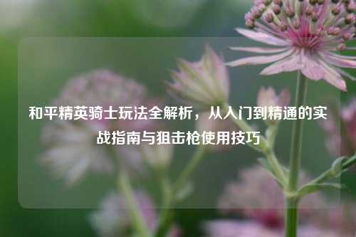 和平精英骑士玩法全解析,从入门到精通的实战指南与狙击枪使用技巧