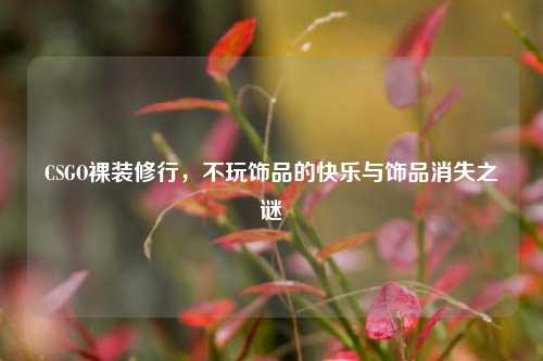 CSGO裸装修行,不玩饰品的快乐与饰品消失之谜