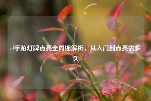 cf手游灯牌点亮全周期解析,从入门到点亮需多久