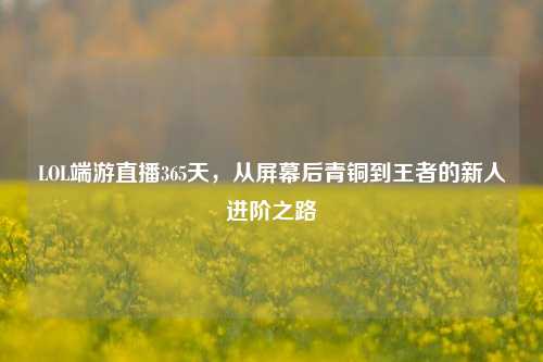 LOL端游直播365天,从屏幕后青铜到王者的新人进阶之路