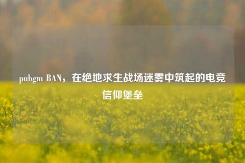 pubgm BAN，在绝地求生战场迷雾中筑起的电竞信仰堡垒