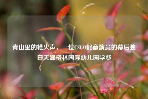 青山里的枪火声,一位CSGO配音演员的幕后独白天津格林国际幼儿园学费