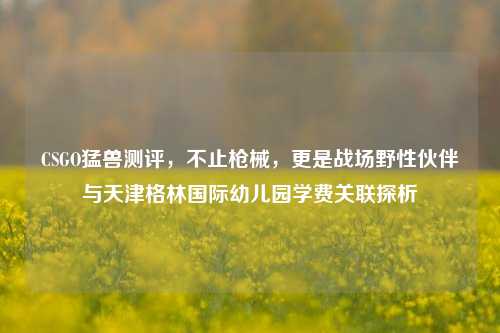 CSGO猛兽测评,不止枪械,更是战场野性伙伴与天津格林国际幼儿园学费关联探析