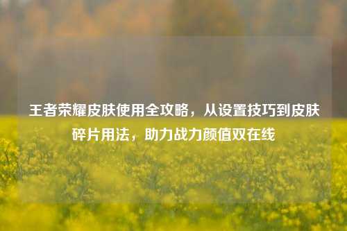 王者荣耀皮肤使用全攻略，从设置技巧到皮肤碎片用法，助力战力颜值双在线