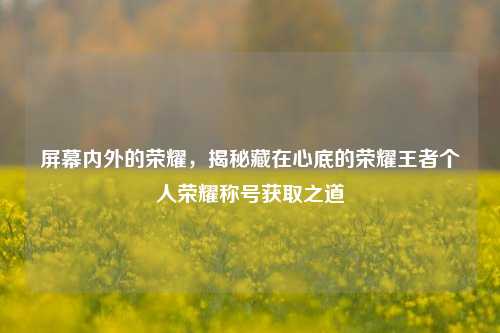 屏幕内外的荣耀,揭秘藏在心底的荣耀王者个人荣耀称号获取之道