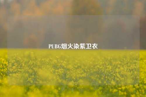 PUBG烟火染紫卫衣