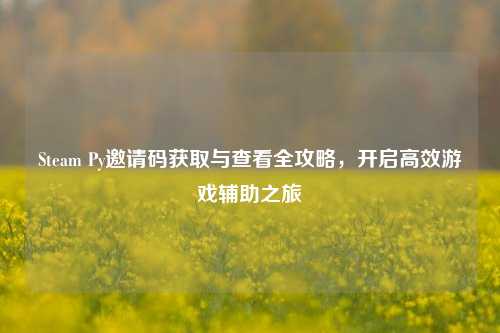 Steam Py邀请码获取与查看全攻略,开启高效游戏辅助之旅