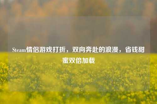 Steam情侣游戏打折,双向奔赴的浪漫,省钱甜蜜双倍加载
