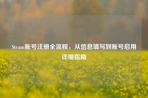 Steam账号注册全流程,从信息填写到账号启用详细指南