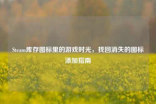 Steam库存图标里的游戏时光，找回消失的图标添加指南