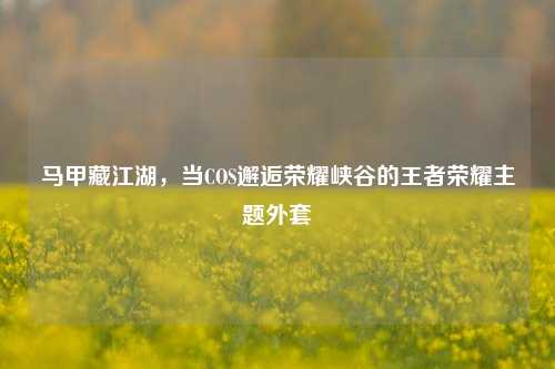 马甲藏江湖,当COS邂逅荣耀峡谷的王者荣耀主题外套