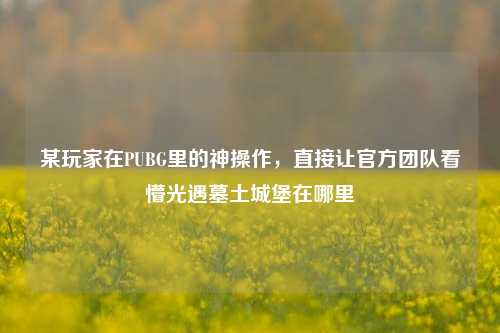 某玩家在PUBG里的神操作,直接让官方团队看懵光遇墓土城堡在哪里