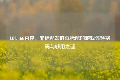 LOL 16G内存,非标配却胜似标配的游戏体验密码与够用之谜
