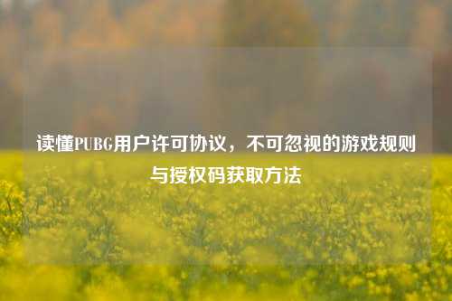 读懂PUBG用户许可协议，不可忽视的游戏规则与授权码获取方法