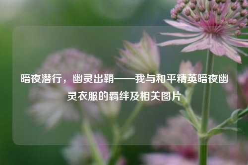 暗夜潜行，幽灵出鞘——我与和平精英暗夜幽灵衣服的羁绊及相关图片