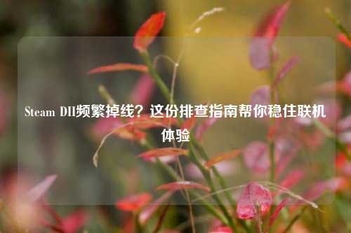Steam DII频繁掉线?这份排查指南帮你稳住联机体验