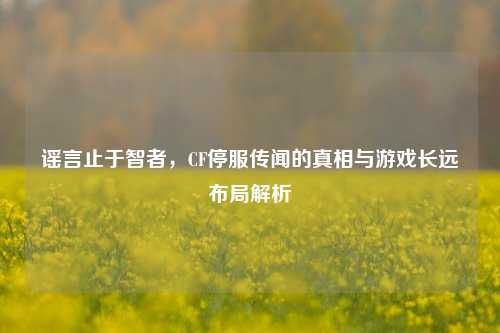 谣言止于智者,CF停服传闻的真相与游戏长远布局解析