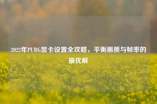 2022年PUBG显卡设置全攻略,平衡画质与帧率的最优解